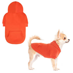 KOOLTAIL sudadera otoñal para perro con bolsillo, ideal para llevar artículos pequeños