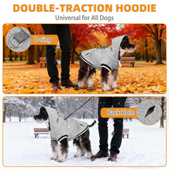 Sudadera Kooltail capucha con ribete de color para estilo y calidez.