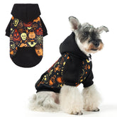 KOOLTAIL sudadera para perro con calabaza, ideal para fiestas