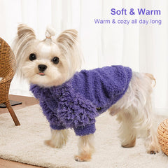 Kosiyi sueter perro pequeno diseño divertido, encanto en salidas