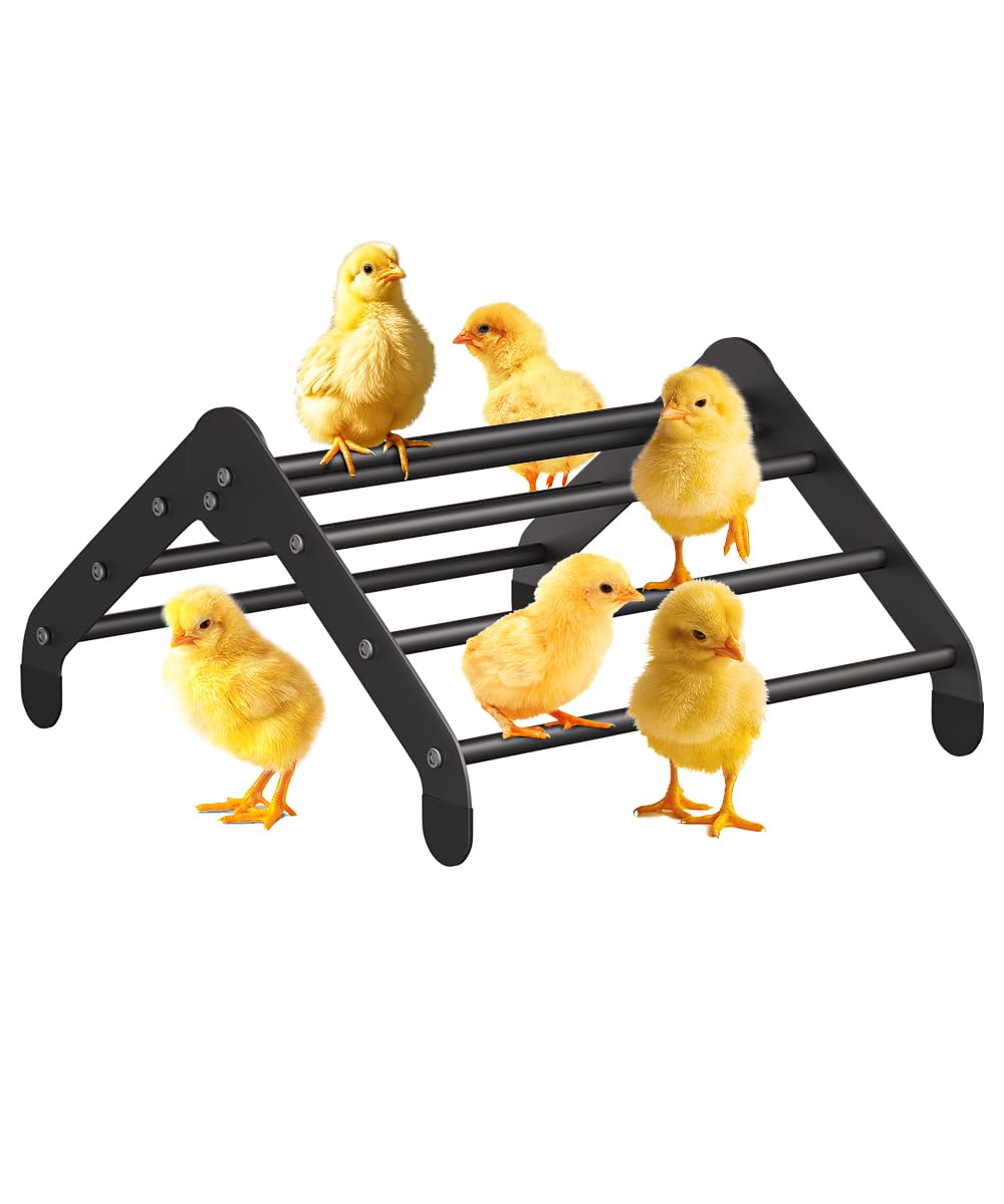 Koutemie, percha ajustable para coop, ideal para aves de diferentes tamaños.