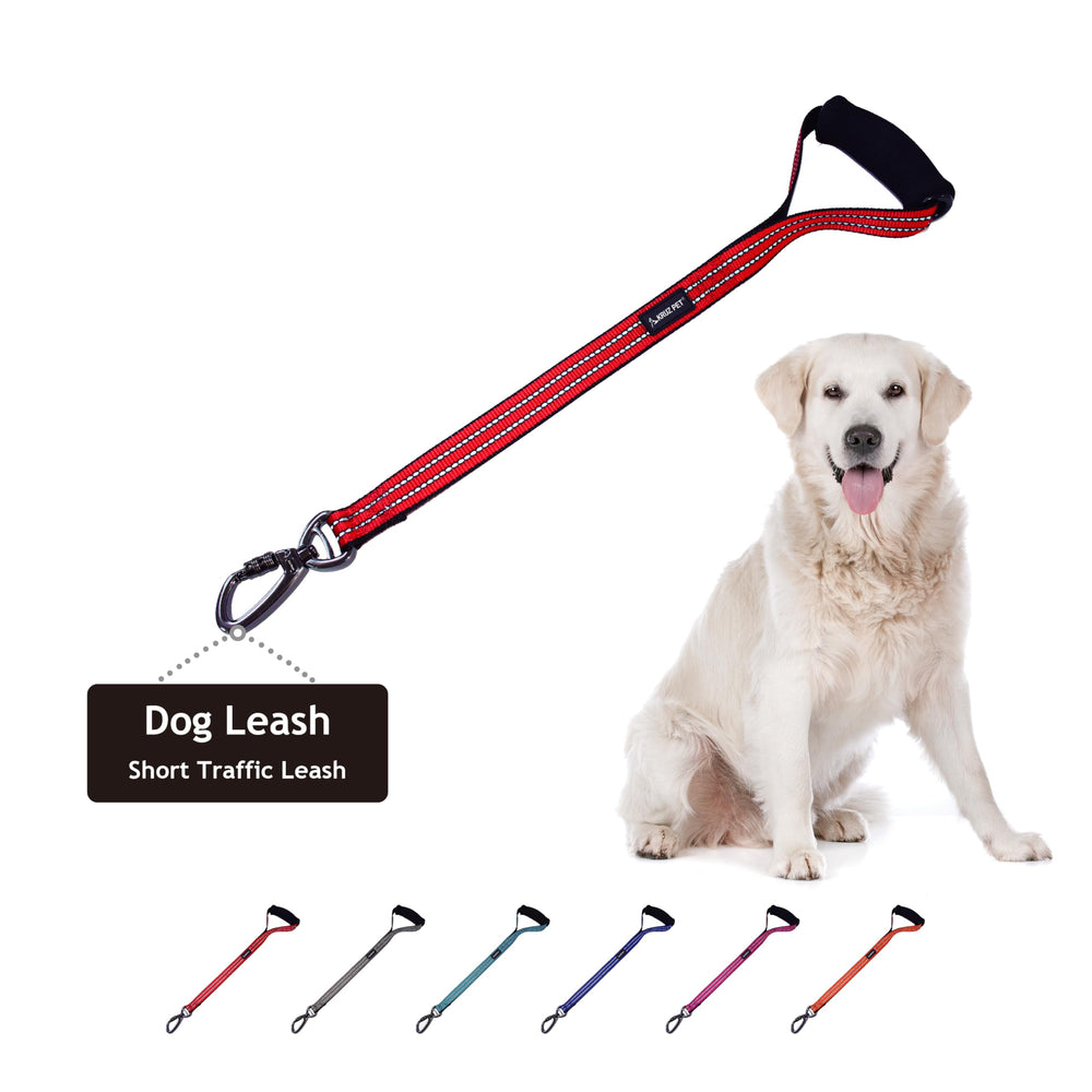 KRUZ PET correa para perros con reflejo ideal para paseos nocturnos seguros