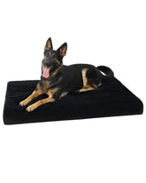 KSIIA Cama ortopédica para perros grandes, frontal, soporte para articulaciones y descanso estable