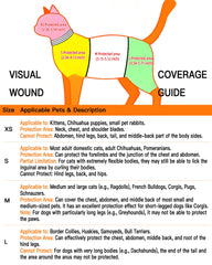 KUDES diseño-girasol-collar-recuperacion-gato-perro-xs, aspecto adorable durante la recuperación.