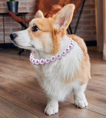KUDES collar de perlas para perro, brillo elegante para salidas especiales.