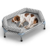 Kuntrust cama ortopédica para perros medianos, superficie elevada para mayor comodidad.