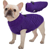 Kuoser abrigo para perro con impermeable morado, ideal para lluvia.