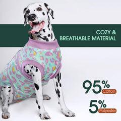 Kuoser alternativa al cono, mantiene al perro cómodo durante la recuperación.