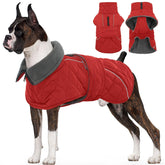 Kuoser Capa Extrawarm para perros, frente, mantiene calor y protección en paseos.