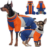 Kuoser capa para perro mediano con arnés integrado, ideal para paseos diarios.