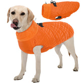 Cazadora Kuoser para perro naranja, vista frontal, abriga y protege del viento