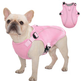 Kuoser chaleco enfriamiento para perro rosa en talla S, ideal para paseos al aire libre