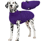 Kuoser chaqueta-perro-grande vista frontal, abrigo cálido para paseos invernales