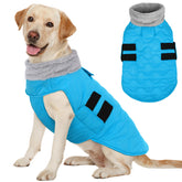 Kuoser chaqueta-perro-invierno-media, ideal para paseos fríos.