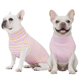 Kuoser dos chalecos para perros sin mangas, comodidad y estilo diario.