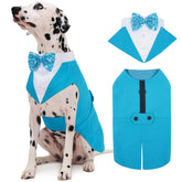 Kuoser esmoquin para perro grande, dos piezas, ideal para conjuntos formales.