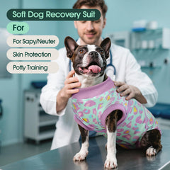 Kuoser onesie quirúrgico para perro, suave y cómodo para el postoperatorio.