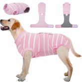 Kuoser: traje de recuperación para perros, ajuste cómodo para zonas quirúrgicas.