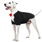 Kuoser tuxedo para perros con bandana, vista frontal lista para fotos de ocasión.