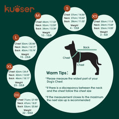 Kuoser diseño festivo con rayas para celebrar con tu perro.