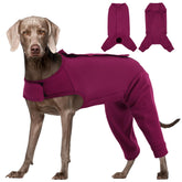 Kuoser traje ajuste perfecto para recuperación postoperatoria de perros
