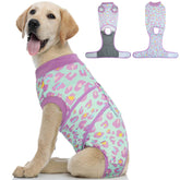 Kuoser: mono de recuperacion para perro con ajuste perfecto y comodidad.