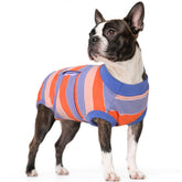 Traje Kuoser para perro con ajuste perfecto y comodidad diaria