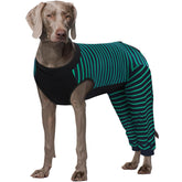 Kuoser traje de recuperación para perro, manga de la pierna trasera, evita lamidos y protege la herida.