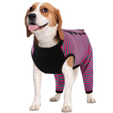 Kuoser traje recuperación para perro, protección de la pierna trasera y comodidad.