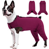 Kuoser traje recuperación para perro, foco piernas traseras, protege la zona quirúrgica y facilita movilidad.