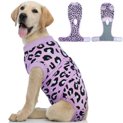 Kuoser traje recuperación para perros – ajuste perfecto para comodidad postoperatoria