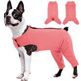 Kuoser traje recuperación perros: protección de patas traseras para evitar lamido.