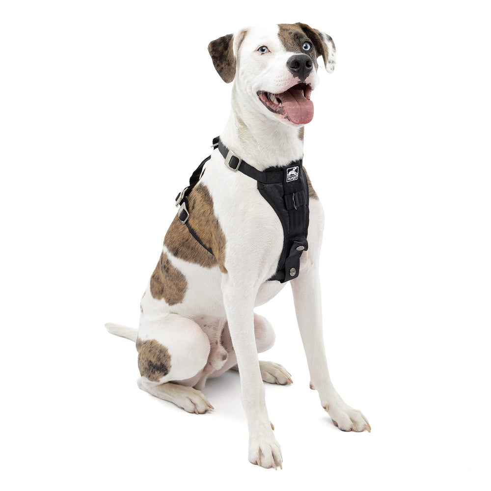 Kurgo Tru-Fit arnés frontal negro para paseos seguros y cómodos