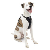 Kurgo Tru-Fit arnés frontal negro para paseos seguros y cómodos