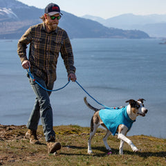 Kurgo Core Sweater con aberturas de cremallera para arnés, facilita el paseo.