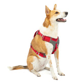 Kurgo Journey Air arnés para perro activo, ajuste seguro para senderismo.
