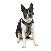 Kurgo Journey Air: arnés con ajuste seguro para perros activos en caminatas.