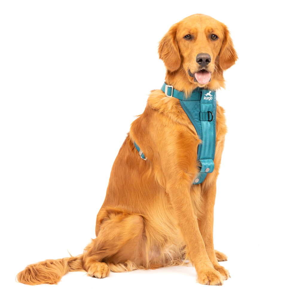 Kurgo Tru-Fit arnés perro coche con fuerza mejorada para viajes seguros