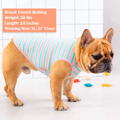 Camiseta KYEESE para perro, tejido ligero y suave para uso diario.
