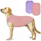 KYEESE camiseta para perro con rayas morado-naranja, ideal para paseos diarios