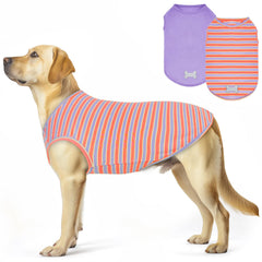 KYEESE camiseta para perro con rayas morado-naranja, ideal para paseos diarios