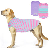 Camisetas KYEESE para perro dos-pack, opción ideal para rotación y uso diario