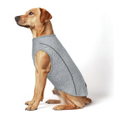 La camiseta KYEESE para perros destaca por secado rápido y banda reflectante para paseos nocturnos.