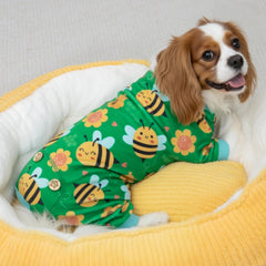 Pijama KYEESE para perro con cobertura para piel sensible.