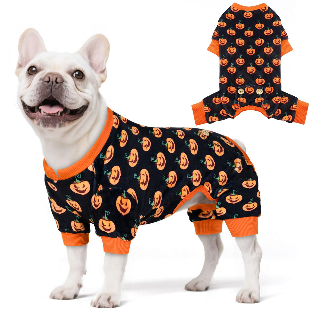 KYEESE pijama Halloween para perro pequeño con calabaza, ideal para sesiones de fotos
