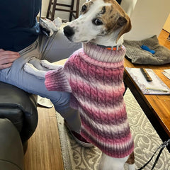 KYEESE sudadera para perro cuello alto y manga larga para climas fríos.