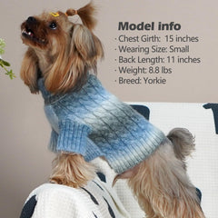 KYEESE prenda con gradiente azul para perros pequeños, añade estilo y calidez.