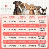 KYEESE suéter para perro Valentín rosa, frontal con puntos.