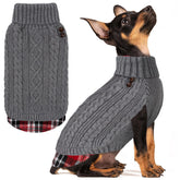 KYEESE sudadera para perro frente: ajuste cómodo para paseos diarios.