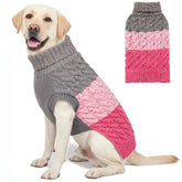 KYEESE suéter con diseño bloque de color para perro, ideal para paseos.